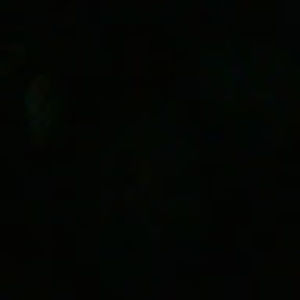 Meet your Posher, Teng